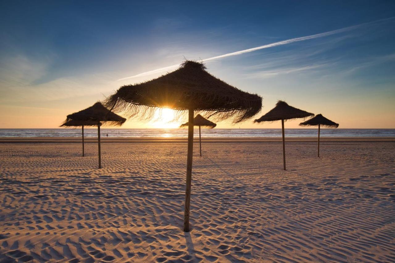 Huis Zeeduin Amsterdam Beach ซานด์โวร์ต ภายนอก รูปภาพ
